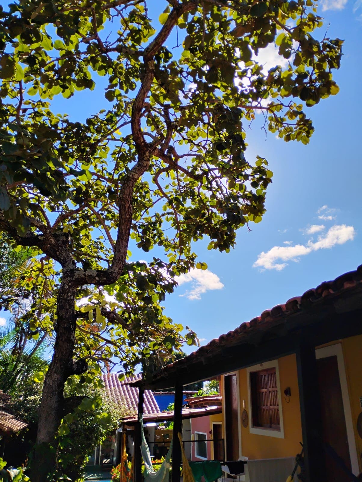 Foto da pousada número 13